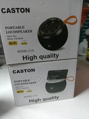 C15 Portable Speaker