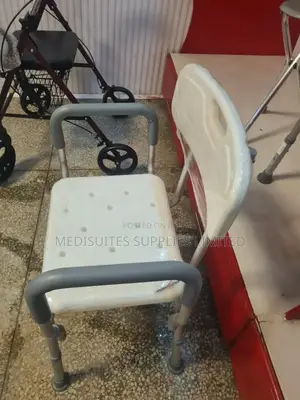 Shower Chair With Handles.