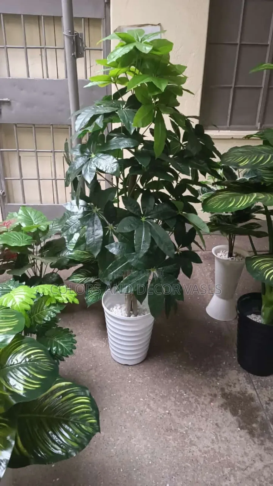 Big Mango Artificial Plant in Plastic Vase