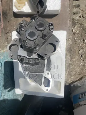Double Stage Oil Pump Wd615 Engine