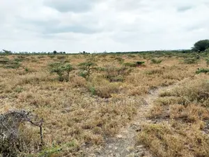 Vacant Plot for Sale at Kimalat