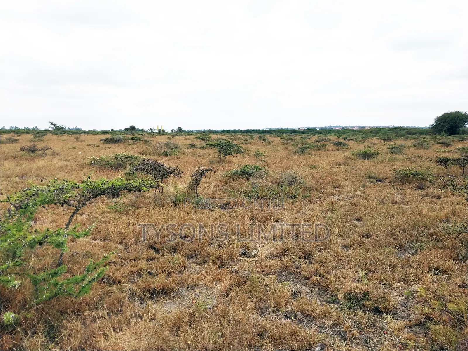 Vacant Plot for Sale at Kimalat