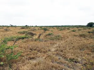 Vacant Plot for Sale at Kimalat