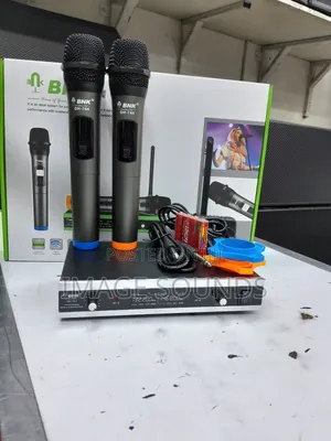 Wireless Mic BNK Bk744 DH