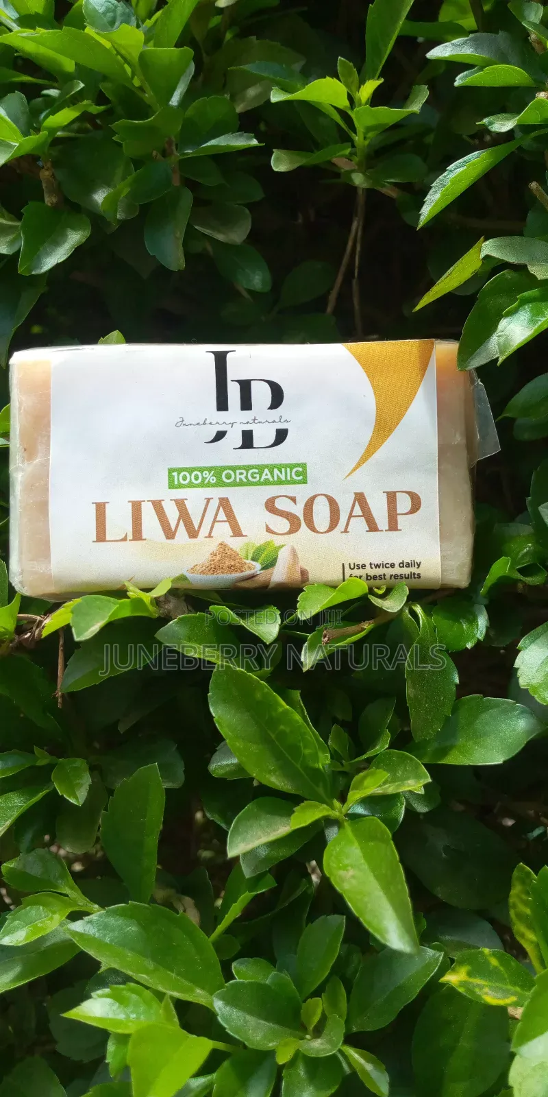 Liwa Soap (Sandalwood Soap)