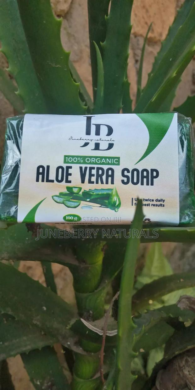 Aloe Vera Soap - main view