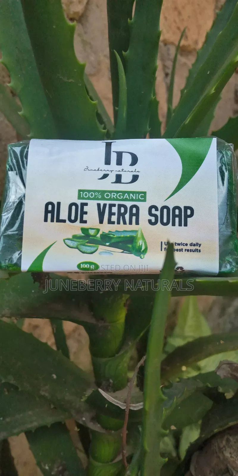 Aloe Vera Soap