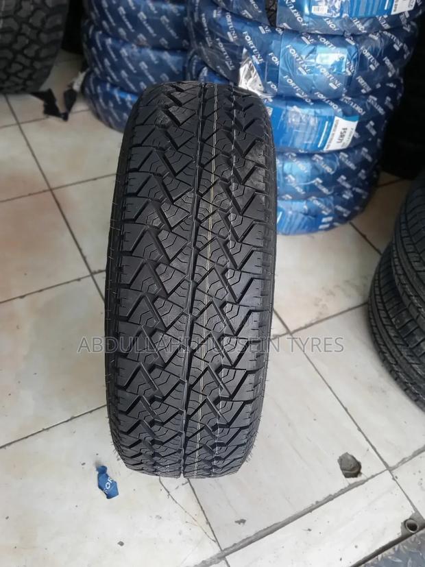 225/65 R17 Fortune Tyres