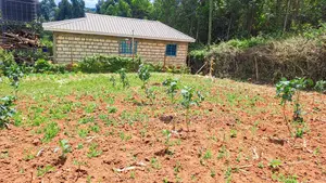Plot for Sale in Kikuyu, Karai (Migumoini Area)
