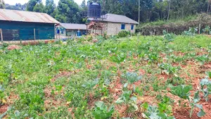 Plot for Sale in Kikuyu, Karai (Migumoini Area)