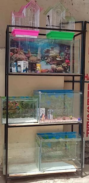 Ready Made Aquariums - thumbnail 2