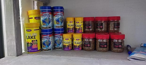 Fish Food Dried Shrimps - main view