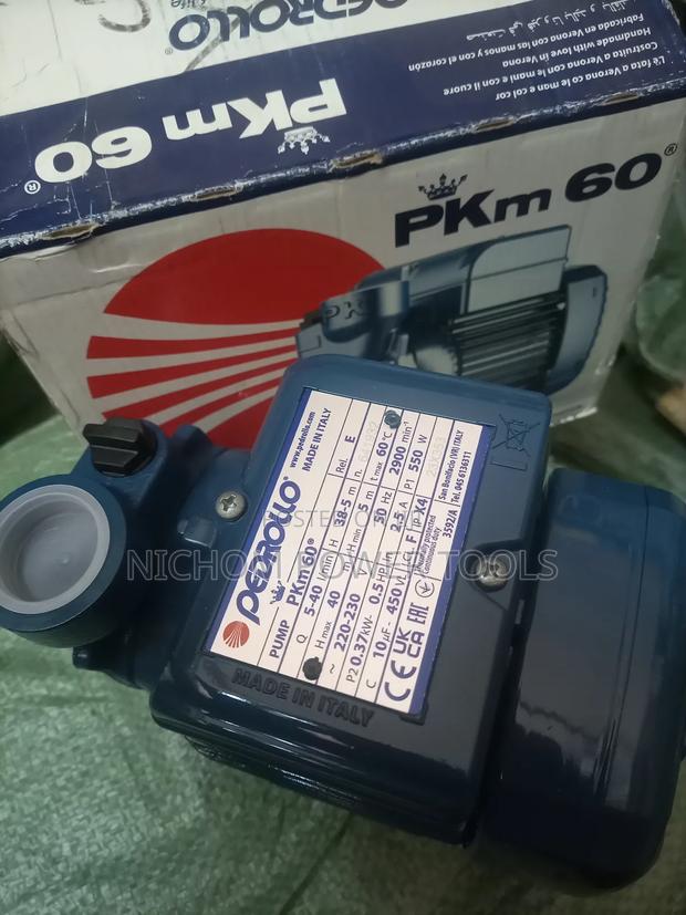Italy Original 0.5hp Pedrollo Water Pump