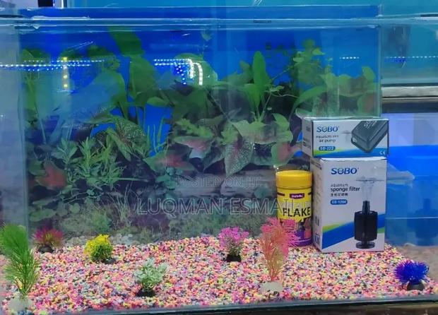 Cheap Aquariums - thumbnail 3