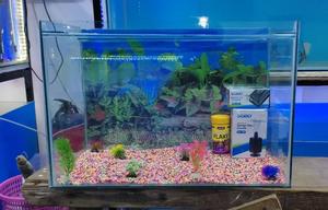 Cheap Aquariums - thumbnail 2