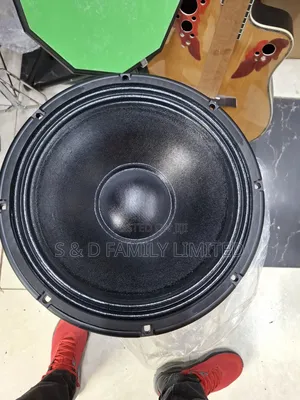 Black RCF Naked Speaker 12 Inches
