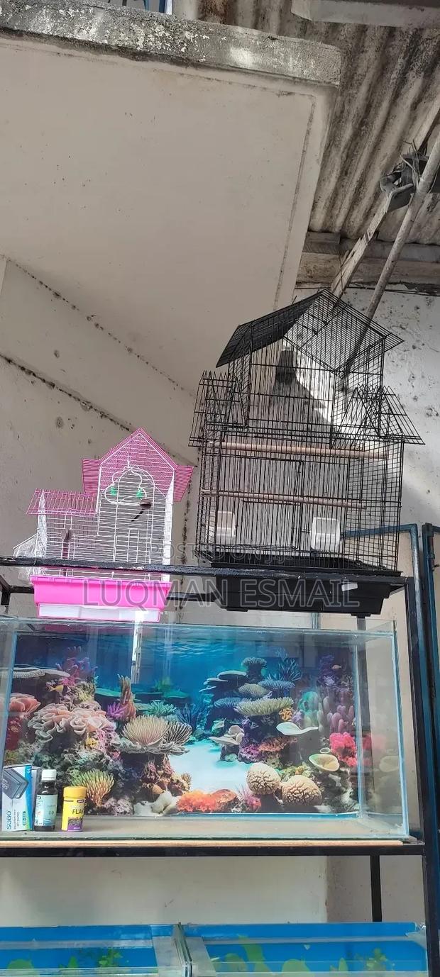 Cages For, Budgies, Love Birds, African Grey And Canaries