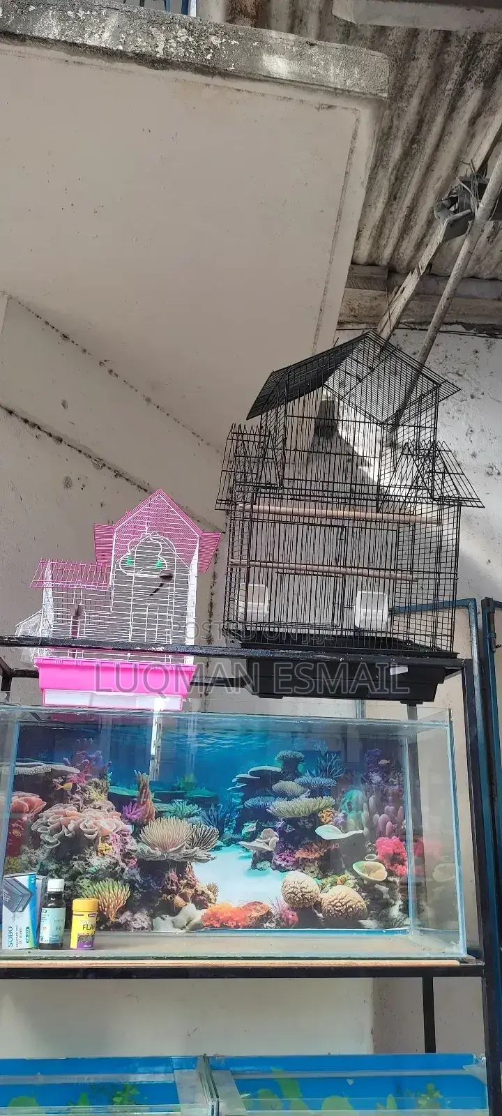 Cages For, Budgies, Love Birds, African Grey And Canaries