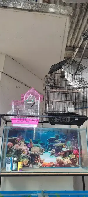 Cages For, Budgies, Love Birds, African Grey And Canaries