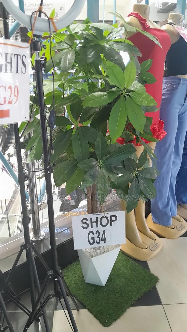 Mango Plant Artificial In Stock - main view