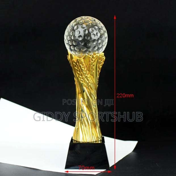 Trophies and Awards - thumbnail 2