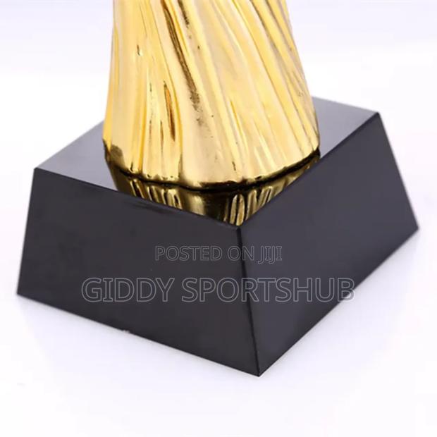 Trophies and Awards - thumbnail 5