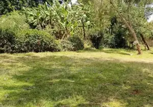 40 by 60 Plot in Njoro, Nakuru