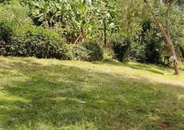 40 by 60 Plot in Njoro, Nakuru - thumbnail 5