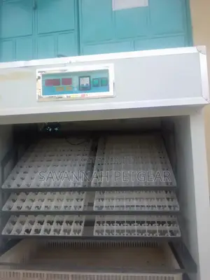 Used 528 Chicken Eggs Automatic Incubator