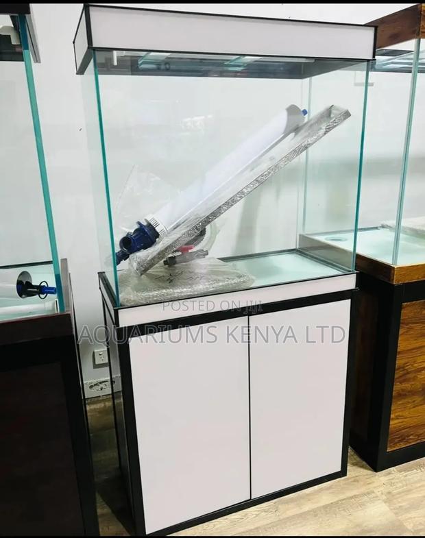 White Profile Customised Aquarium Fish Tank - main view