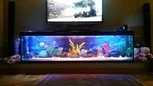 Under TV Aquarium 1.2 Meter - thumbnail 2