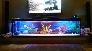 Under Tv Aquarium 1.2 Meter