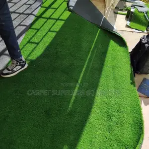 Artificial Turf Grass 3