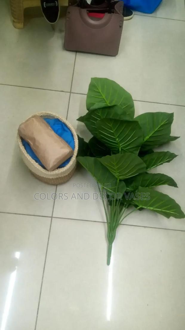 Basket and Plant 80cm Variety of Colours of Baskets