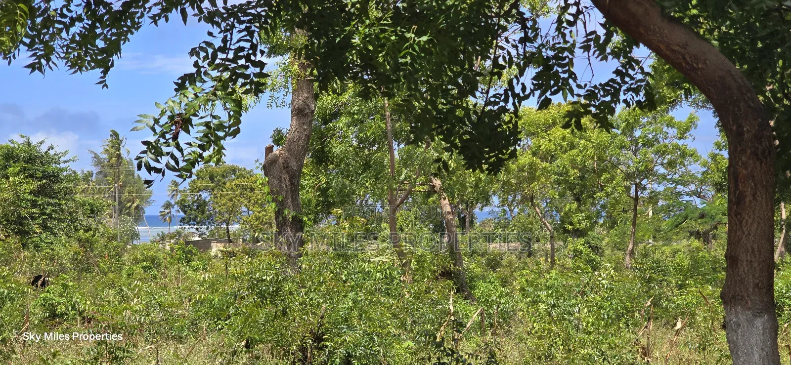 For Sale: Prime 7-Acres 2nd Row in Kikambala