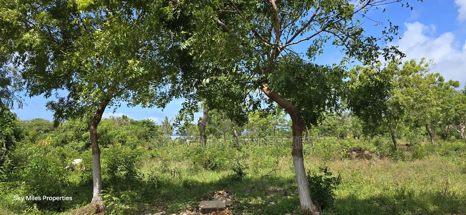 For Sale: Prime 7-Acres 2nd Row in Kikambala