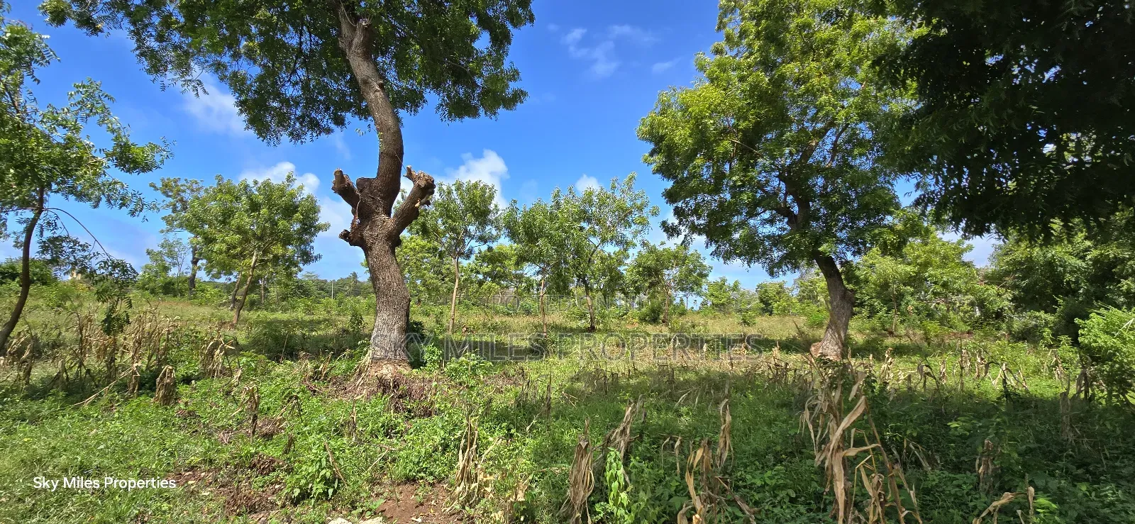 For Sale: Prime 7-Acres 2nd Row in Kikambala