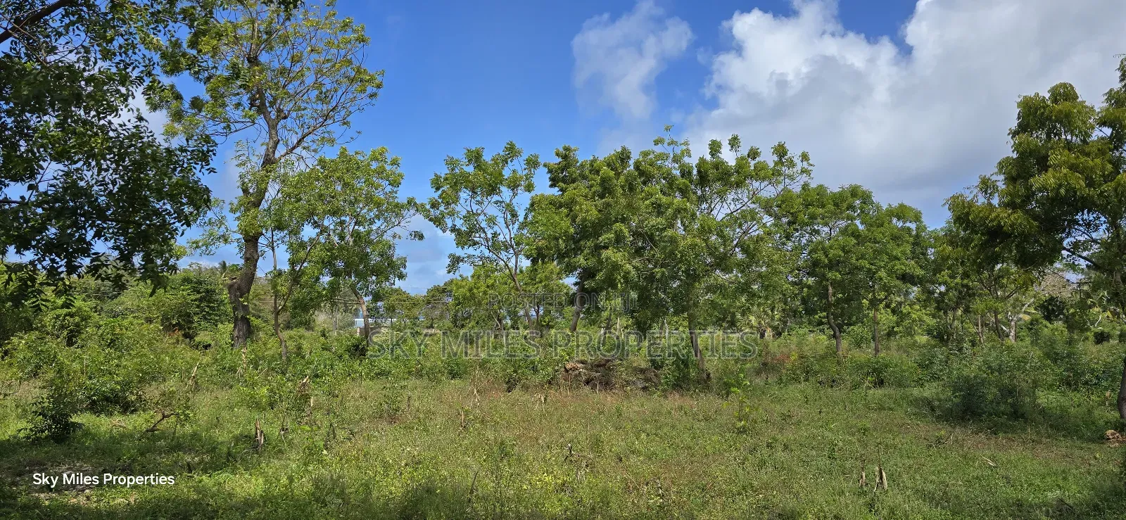 For Sale: Prime 7-Acres 2nd Row in Kikambala