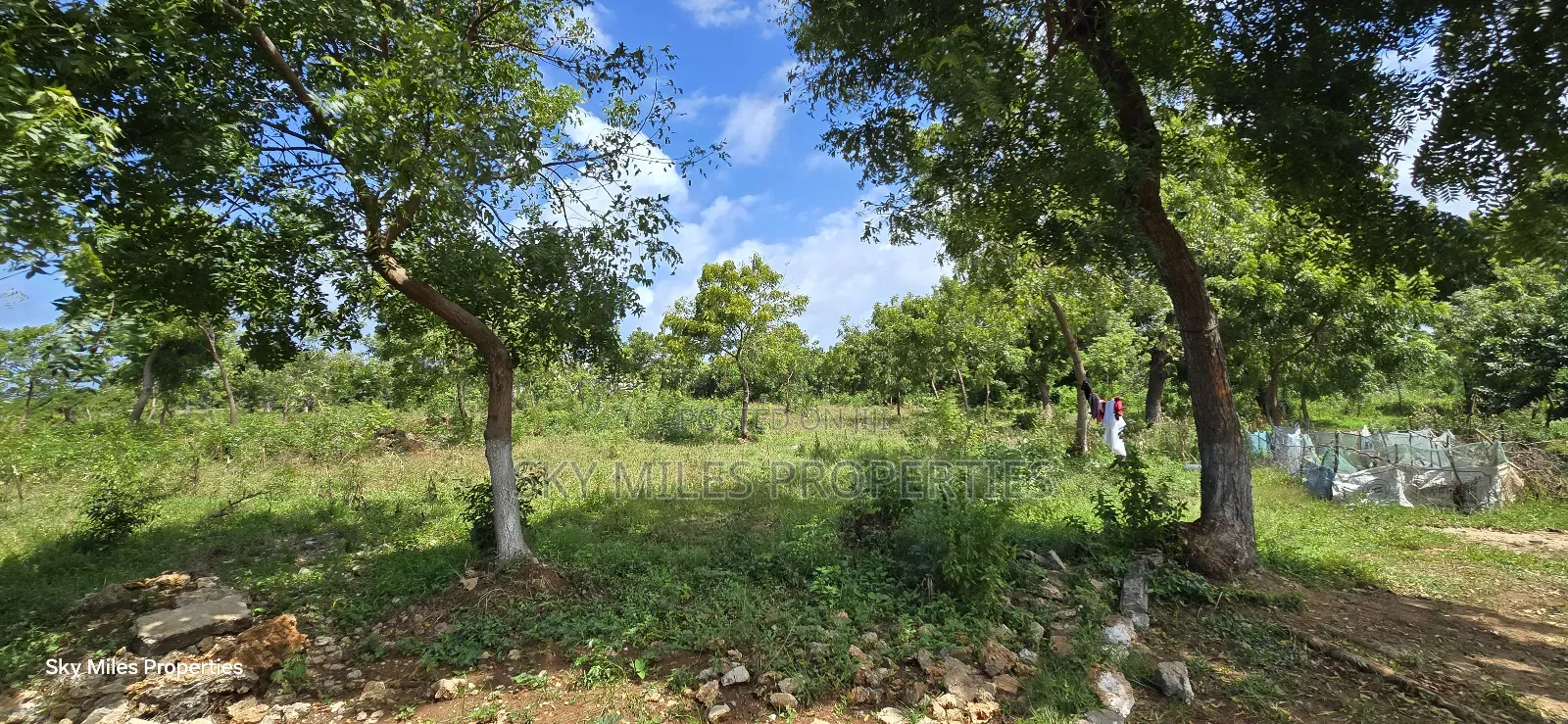 For Sale: Prime 7-Acres 2nd Row in Kikambala