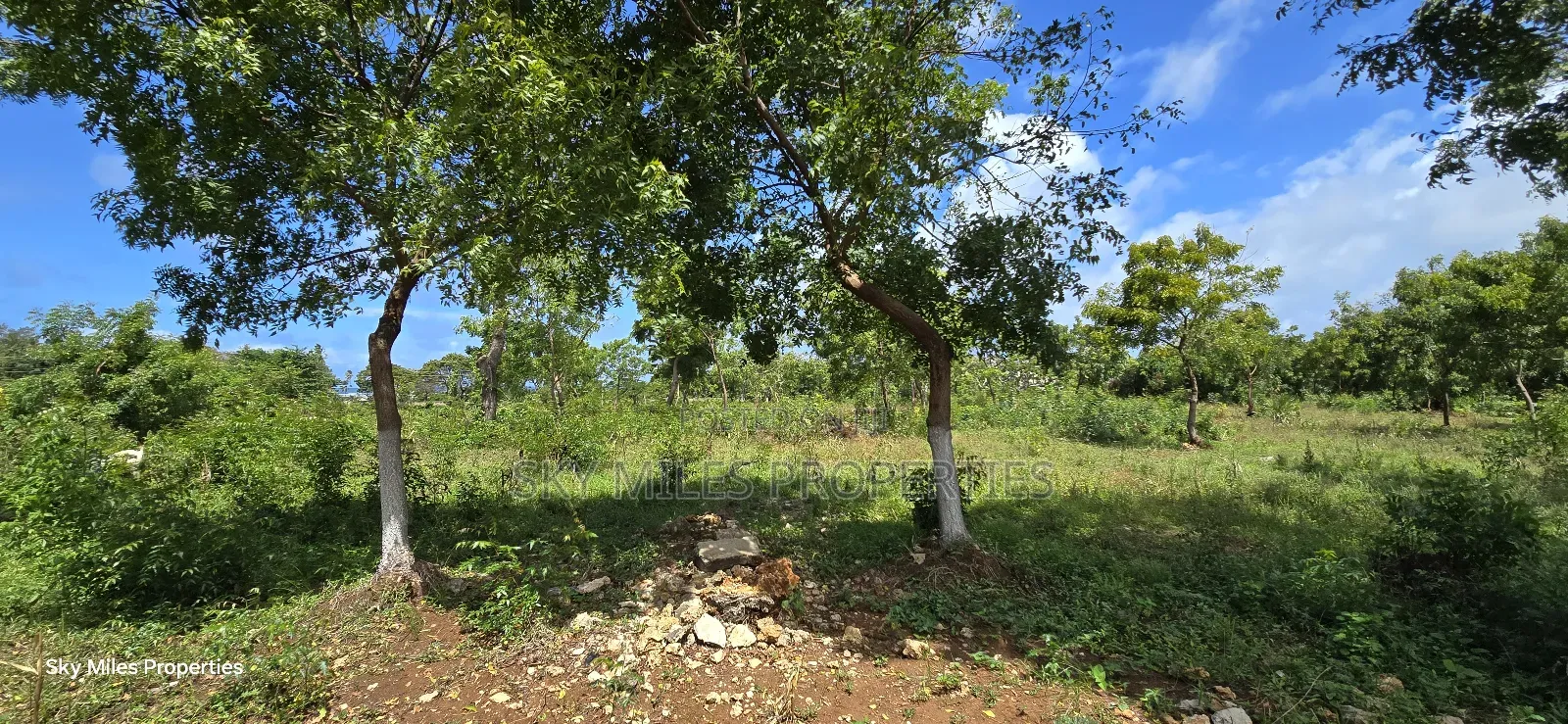 For Sale: Prime 7-Acres 2nd Row in Kikambala