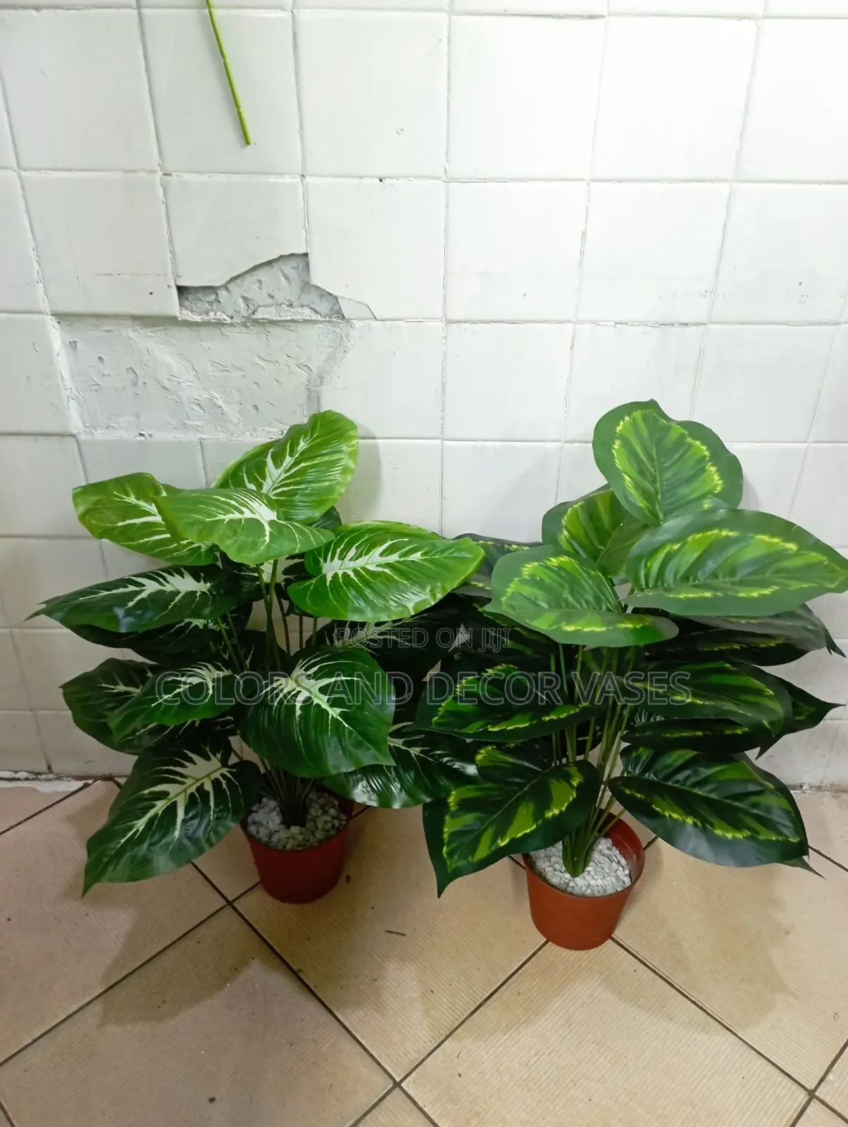 Home Decor Plants KSH Without Vase