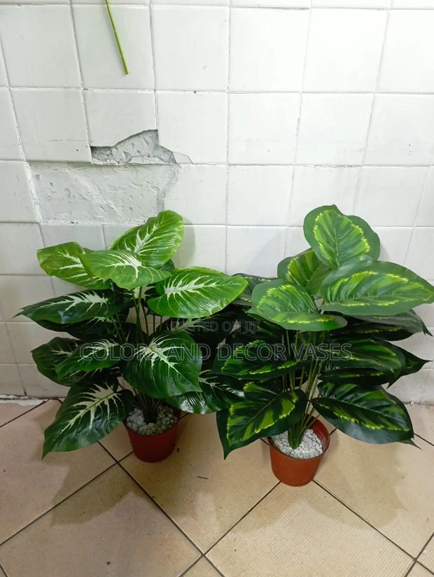 Home Decor Plants KSH Without Vase - main view