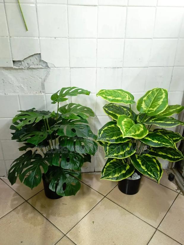 70cm Plant Alone Without Vases KSH - main view