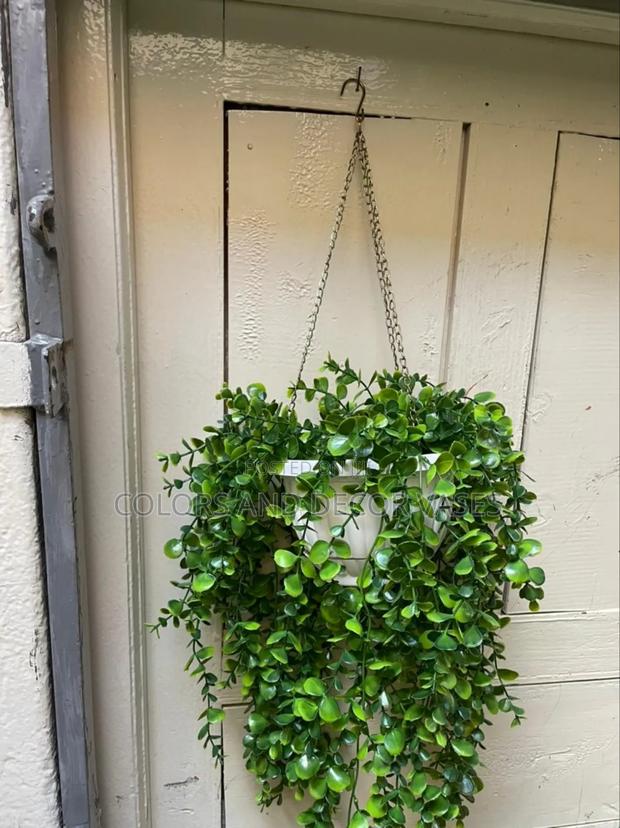Outdoor Hanging Vines and Vases - main view