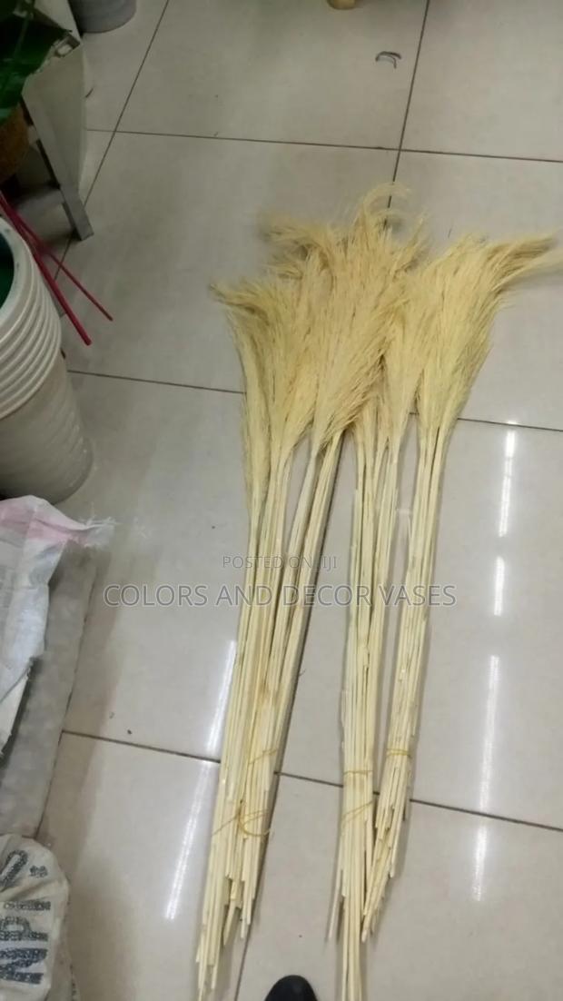 Beige White 1m Long Variety Available