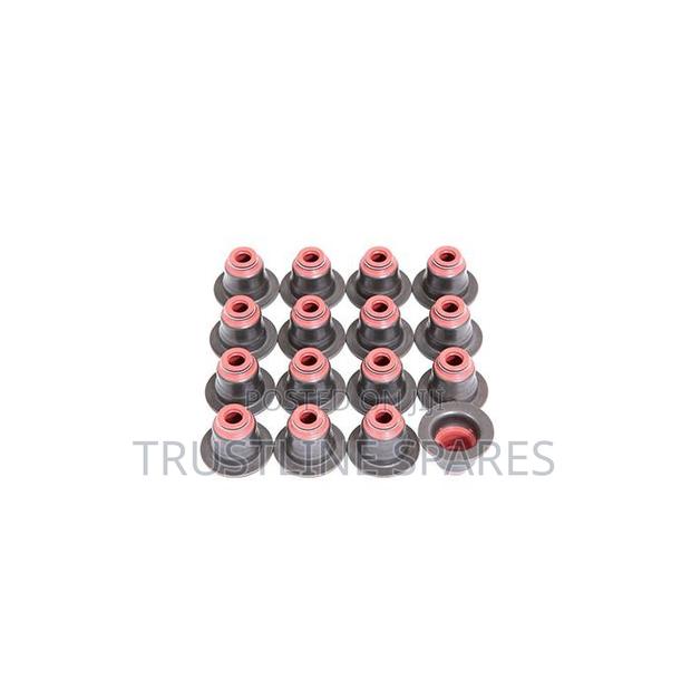 BMW(E46) (E90)(E60)(E84)(E53)(E70) - Valve Stem Seal Frey