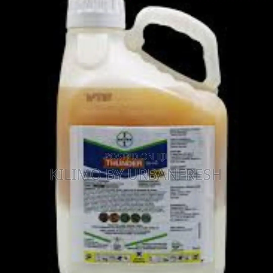 Thunder 145 0D Insecticide (1 LTR)