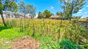 1/4 Plot for Sale - Kiamunyi, Nakuru