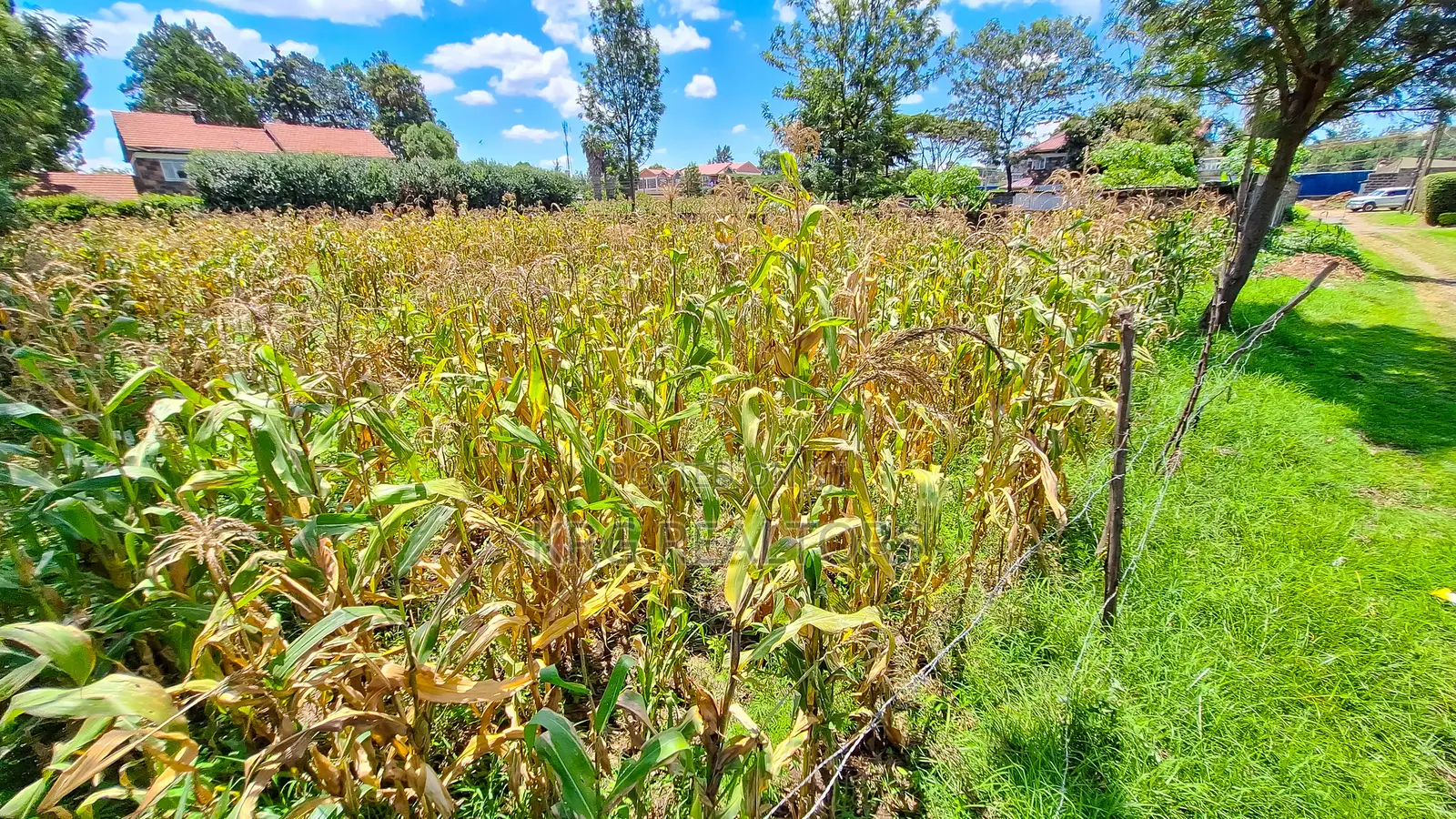 1/4 Plot for Sale - Kiamunyi, Nakuru