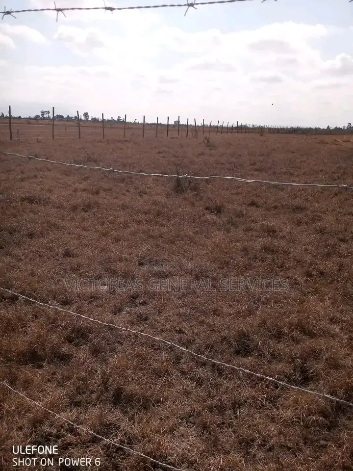 Freehold Title Deed in Murera Land & Plots for Sale, Victorias